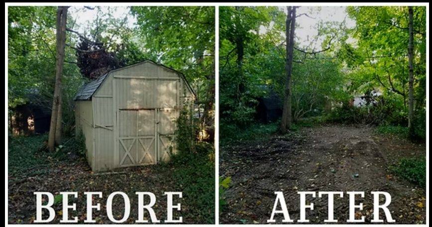 Shed Demolition in Denver before and after